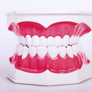 Nový minerální materiál by mohl nahradit neobnovitelnou zubní sklovinu nebo kosti