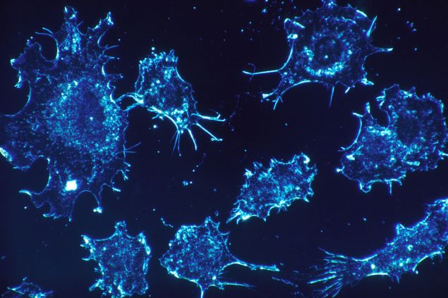 DNA nanoboti z Číny přesně zaměří a zničí nádor