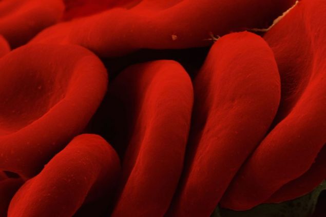 Biotechnologický startup vytváří geneticky upravenou ‚superkrev&#039; pro boj s rakovinou a autoimunitními chorobami
