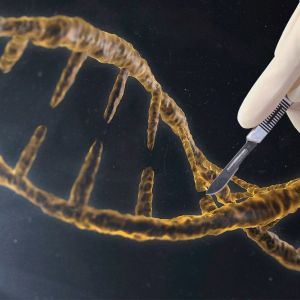 Metoda cíleného genetického inženýrství CRISPR nově zabrání i ztrátě sluchu