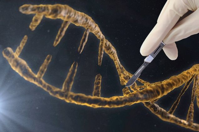 Metoda cíleného genetického inženýrství CRISPR nově zabrání i ztrátě sluchu