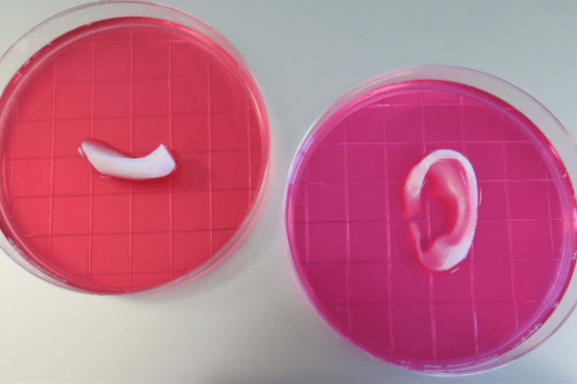 3D biotiskárna vytiskne náhradní svalové a kostní tkáně dostatečně silné pro transplantaci