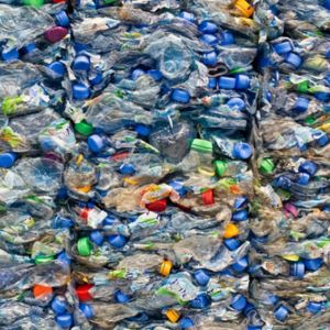 Nový enzym požírající plasty může ulevit světu od miliard tun odpadu