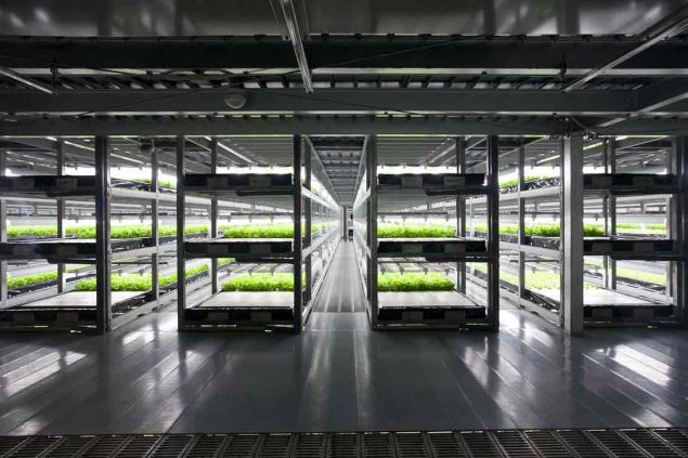 V Japonsku vznikla téměř plně robotizovaná rostlinná farma