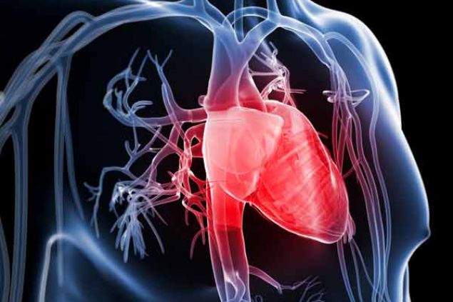 Regenerace vnější srdeční stěny pomocí kmenových buněk