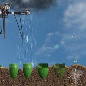 Drony mohou zachránit Zemi „bombardováním“ předklíčených semínek