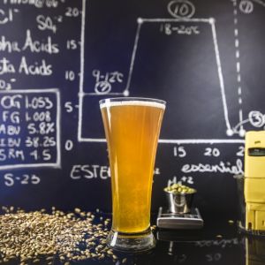 Zlínští vědci zkoumali, jak nejlépe skladovat pivo