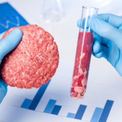 Brněnský startup vyvíjí vepřové maso z mikrořas. Získal podporu z Ameriky