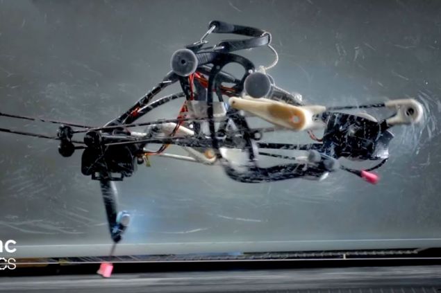 „Pštrosí“ robot posouvá hranice dvounohých robotů
