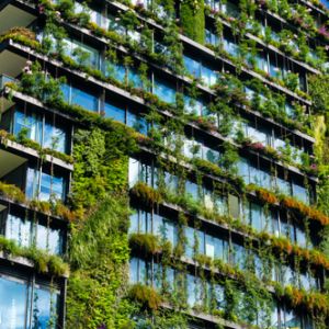 Solarpunk: Zelená utopie, která nabízí futuristickou alternativu k současnému kapitalismu
