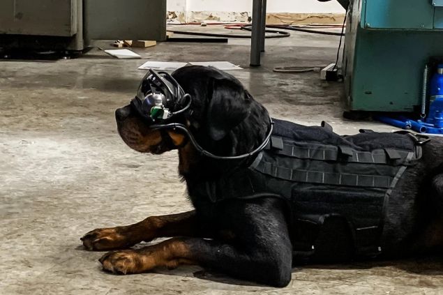 Americká armáda vyvíjí AR brýle pro vojenské psy