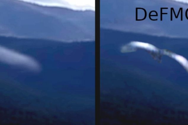 Nad Utahem nelétalo UFO, ale pták. Stačí jediný snímek a DeFMO jej vyhodnotí