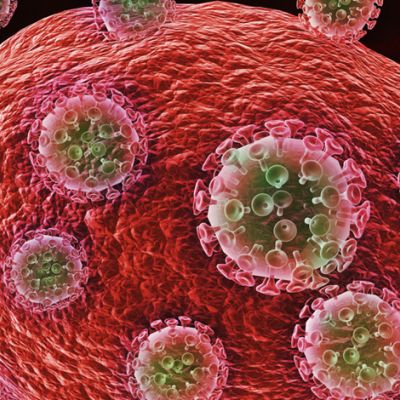 Vědci prostřednictvím techniky genetického inženýrství odstranili virus HIV-1