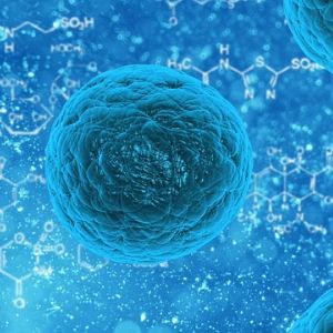 Syntetické kmenové buňky bez rizik a komplikací