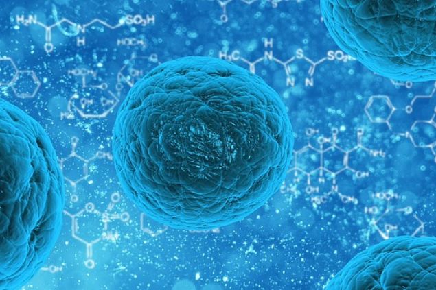 Syntetické kmenové buňky bez rizik a komplikací
