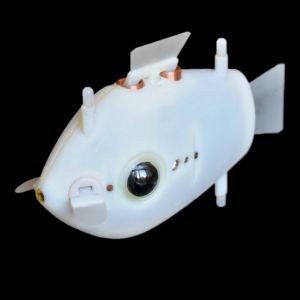 Seznamte se s Blueswarm, chytrým hejnem robotických rybek