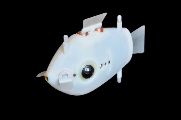 Seznamte se s Blueswarm, chytrým hejnem robotických rybek