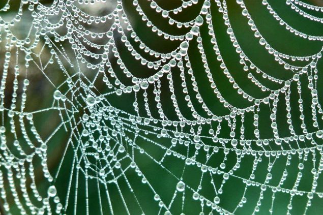 Bio implantát inspirovaný pavoučími vlákny mění doručování inzulinu