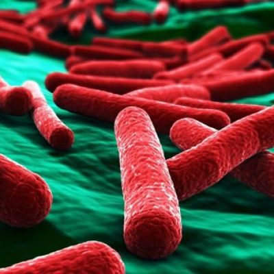 Nový materiál zničí bakterii E-coli za 30 sekund