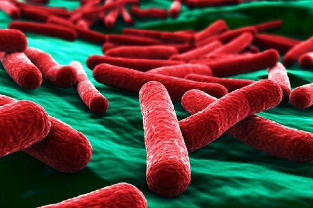 Nový materiál zničí bakterii E-coli za 30 sekund