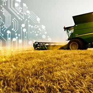 Budoucnost produkce potravin bude řídit umělá inteligence