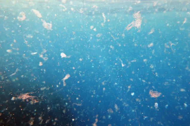 Mikroplasty – ekologická časovaná bomba na dně moří